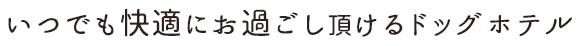 いつでも快適にお過ごし頂けるドッグホテル