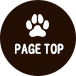 PAGE TOP